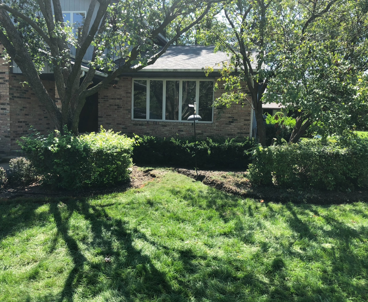 Backyard Landscaping - Orland Park Area - Max's Lawn and Landscaping