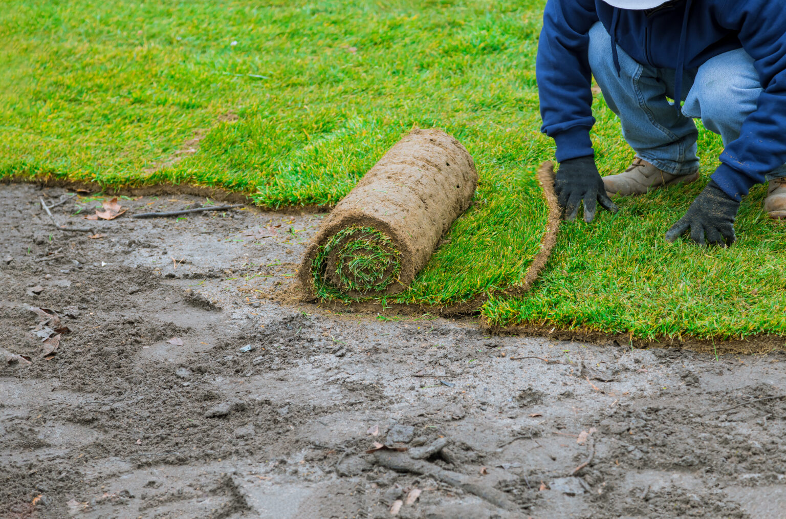 Sod Installation - Orland Park Area - Max's Lawn and Landscaping