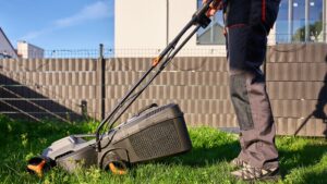 How Does Professional Lawn Maintenance Improve Long-Term Lawn Health (1)